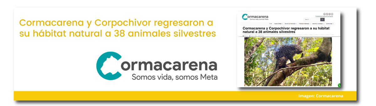 Cormacarena y Corpochivor recuperan y liberan especies en cautiverio y tráfico ilegal