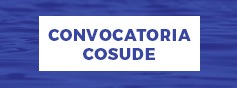 Convocatoria Cosude