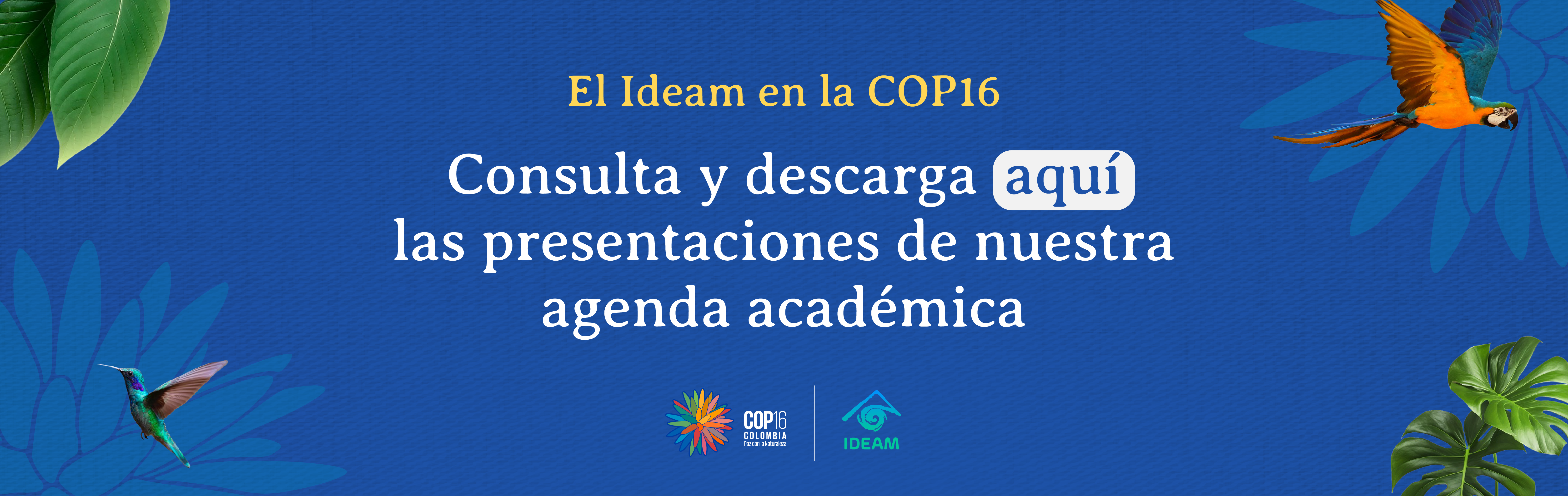 Participación del Ideam en la COP16