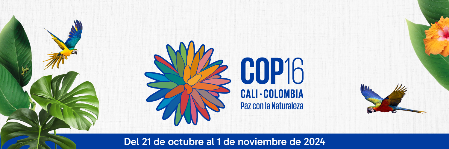 COP16