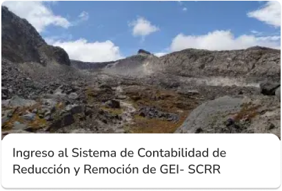 Describe los compromisos climáticos del país establecidos en sus Contribuciones Determinadas a Nivel Nacional (NDC) y los mecanismos para medir, reportar y verificar la reducción y remoción de GEI. Permite hacer seguimiento al cumplimiento de metas y asegurar la trazabilidad de las acciones implementadas.
