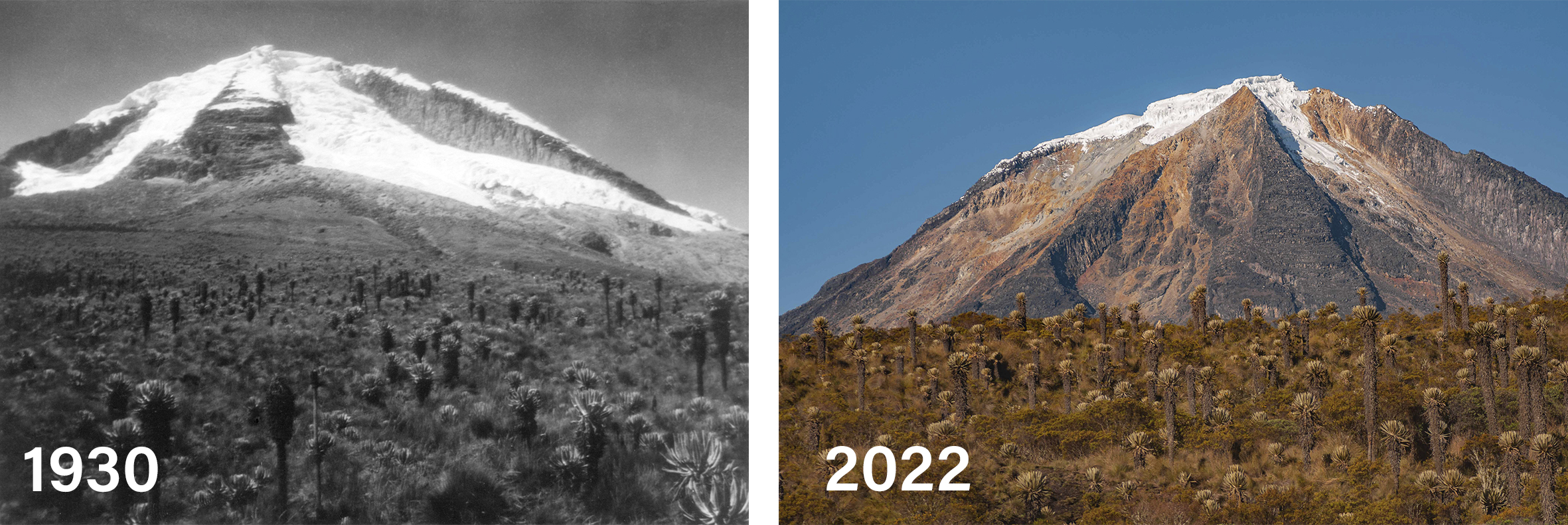 Fotografías. Cambio de cobertura, volcán Nevado del Tolima. 