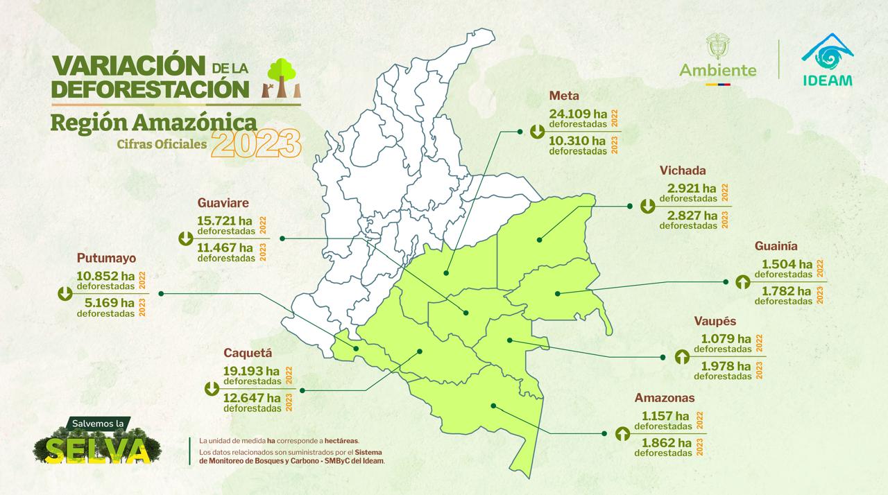 Variación de la deforestación: región amazónica cifras oficiales 2023