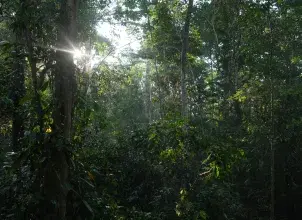 Día Internacional de la Tierra: Un día para recordar que el planeta y la biodiversidad no se cuidan solos