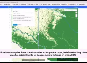 Herramienta virtual para consultar cifras de deforestación en Colombia: Geovisor
