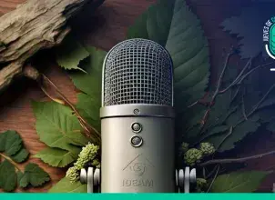 Videopodcast Ideam 2024