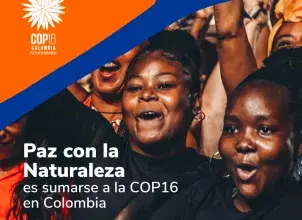 Comienza el conteo regresivo para la COP16.