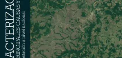 Caracterización de las principales Causas y Agentes 