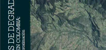 causas de degradación forestal