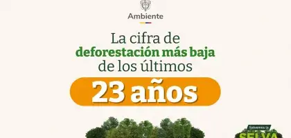 MADS - Cifra de deforestación