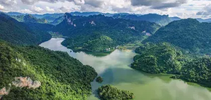 Día Internacional de los Bosques 2026: Colombia avanza con el Sistema Nacional de Monitoreo Forestal