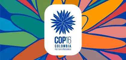 COP16