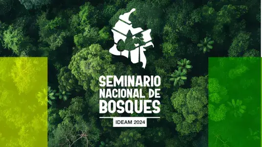 Seminario de bosques
