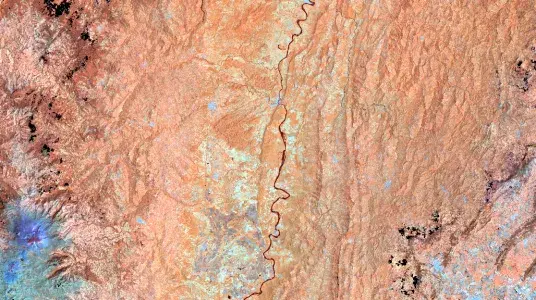 monitoreo de bosques