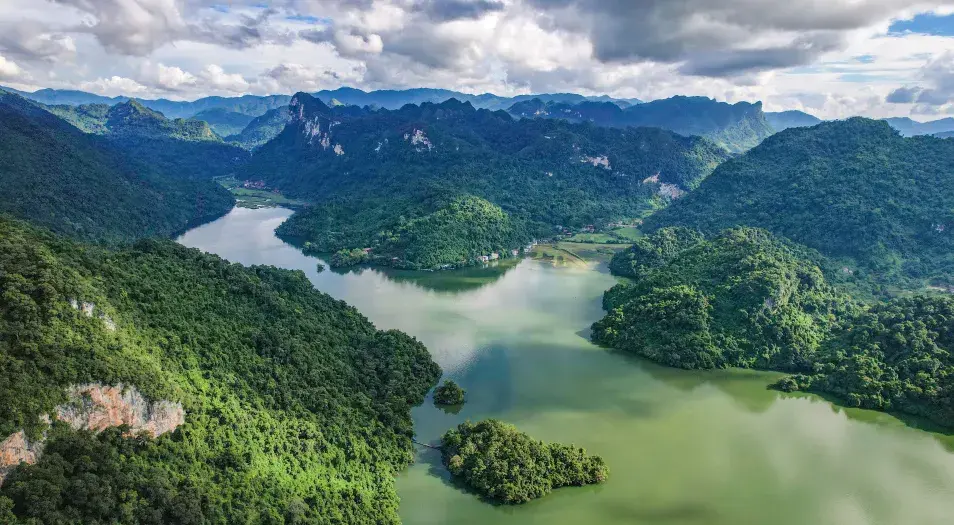 Día Internacional de los Bosques 2026: Colombia avanza con el Sistema Nacional de Monitoreo Forestal