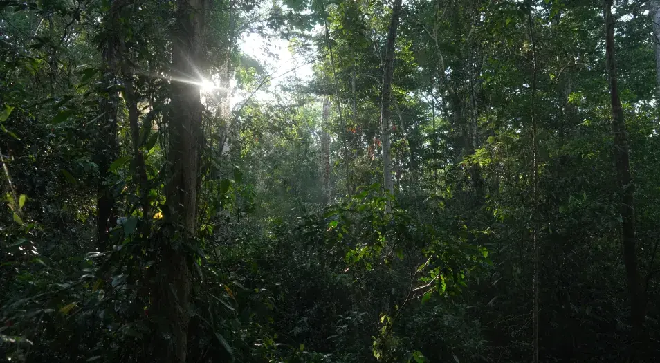 Día Internacional de la Tierra: Un día para recordar que el planeta y la biodiversidad no se cuidan solos