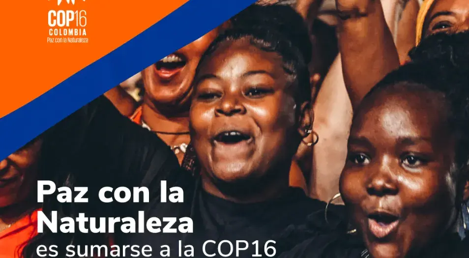 Comienza el conteo regresivo para la COP16.