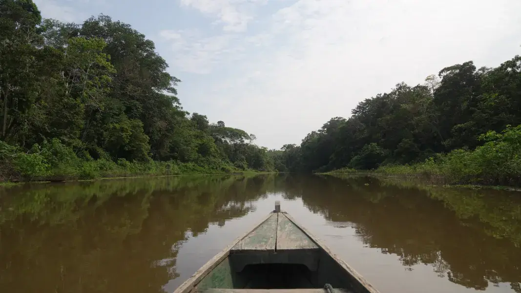 Amazonas 2