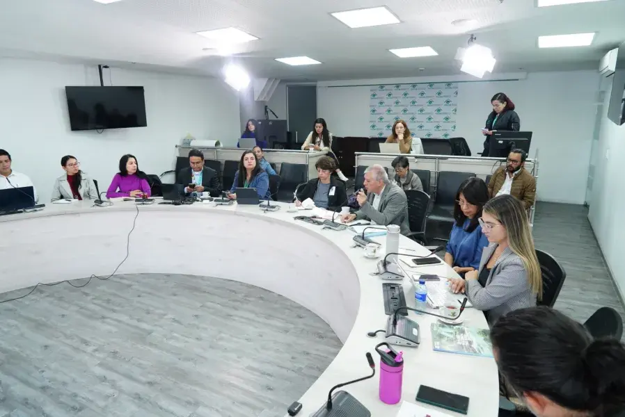 19-02-2025 Panel de expertos sobre demanda y huella hídrica en el marco del Estudio Nacional del Agua -ENA 2026 Ideam