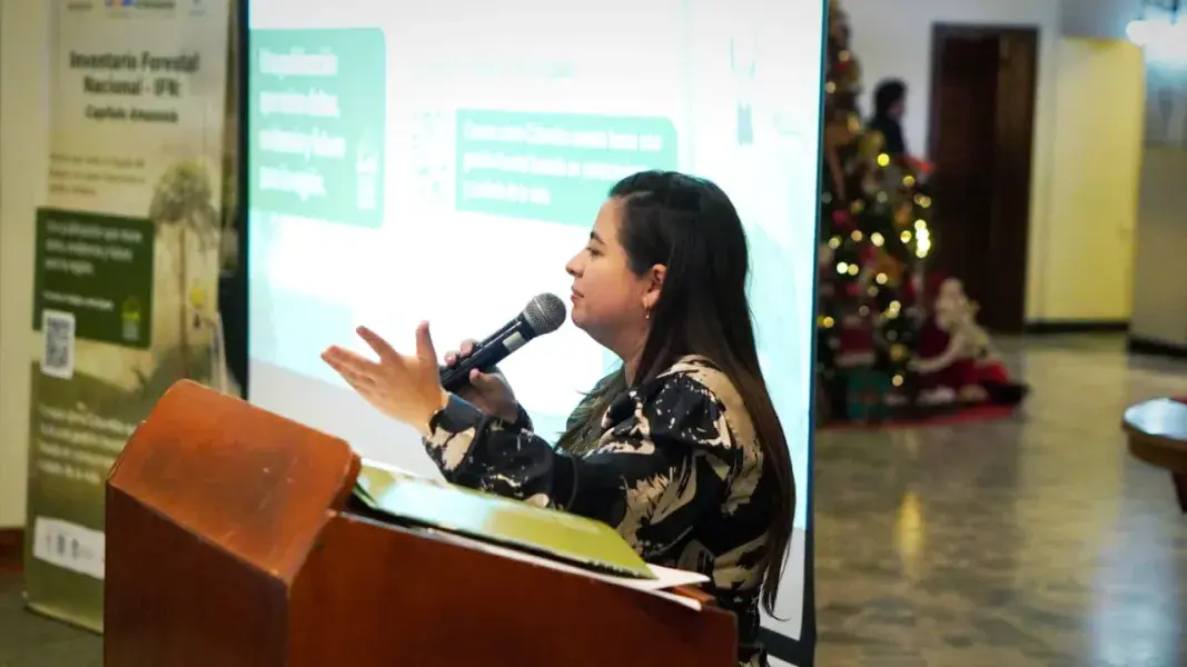 Radiografía de los bosques amazónicos Colombia presenta los resultados del Inventario Forestal Nacional