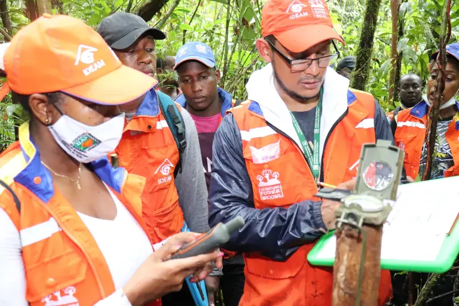Inventario Forestal Nacional Ideam