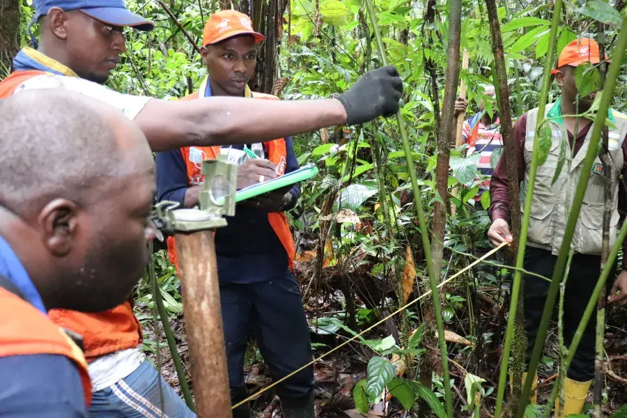 Inventario Forestal Nacional Ideam