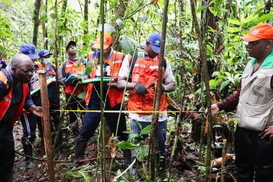 Inventario Forestal Nacional Ideam