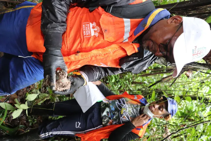 Inventario Forestal Nacional Ideam