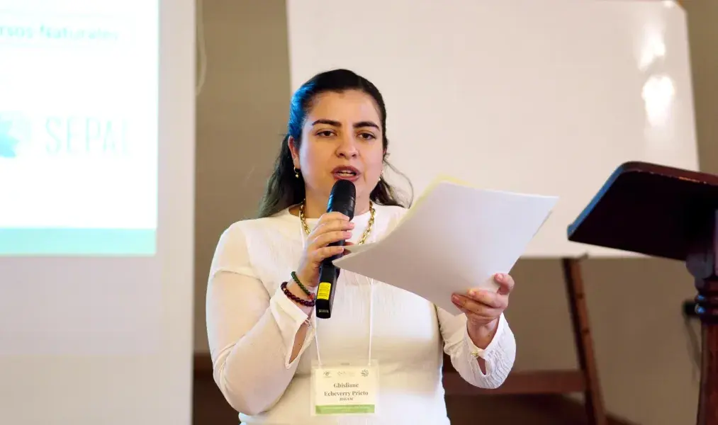 El Ideam lidera intercambio regional sobre monitoreo de bosques y carbono en Villa de Leyva.