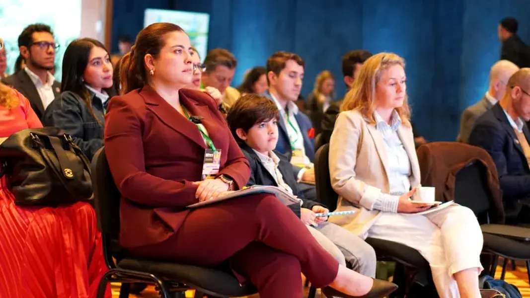 Ideam lanza el Registro Nacional de Zonas Deforestadas