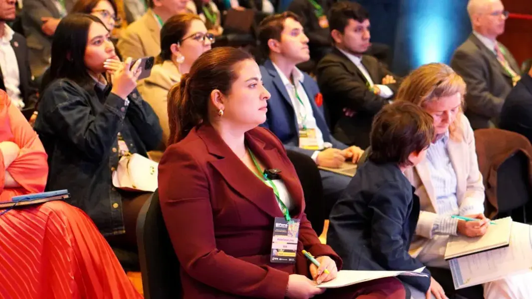 Ideam lanza el Registro Nacional de Zonas Deforestadas