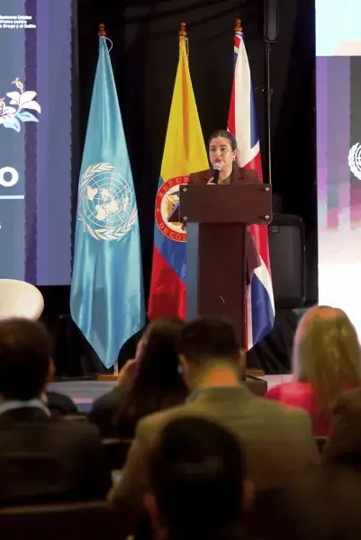 Ideam lanza el Registro Nacional de Zonas Deforestadas