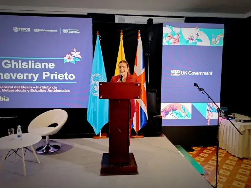 Ideam lanza el Registro Nacional de Zonas Deforestadas